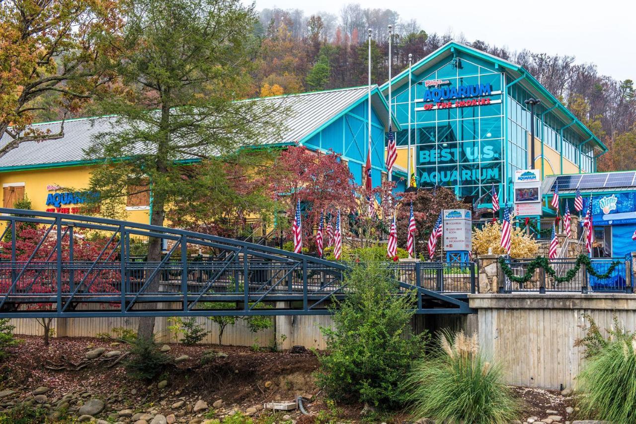Lazy Cub Lodge Pigeon Forge Extérieur photo